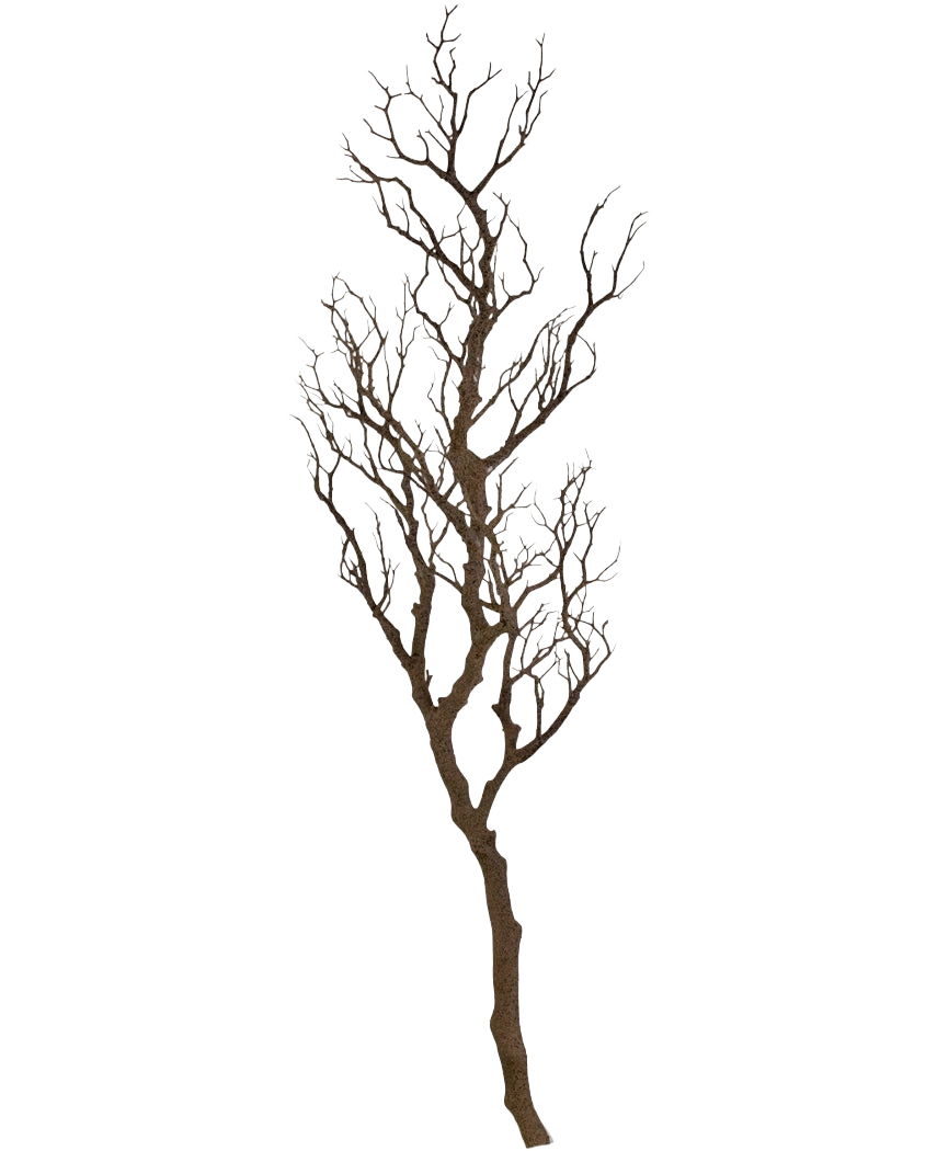 La Branche Décorative Art 118 cm est une branche décorative haute et sans feuilles avec de nombreuses tiges fines et torsadées s'élevant vers le haut, disposées sur un fond blanc uni.
