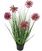Le gazon artificiel chrysanthème 60 cm ignifuge a de longues et fines feuilles vertes ressemblant à de l'herbe et six fleurs de chrysanthème roses avec un cœur jaune dans un pot noir, sur un fond blanc uni.