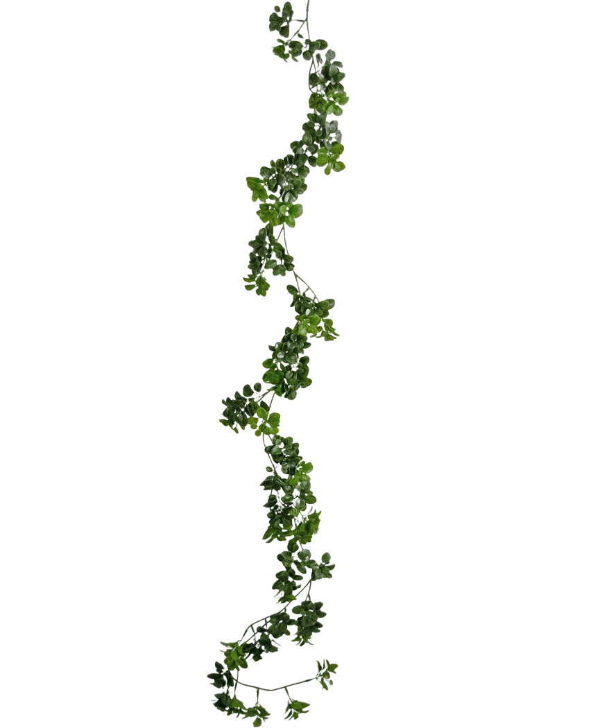 La plante grimpante artificielle Gardenia 157 cm possède une seule et longue vigne verte avec de petites feuilles qui pendent verticalement sur un fond blanc uni.