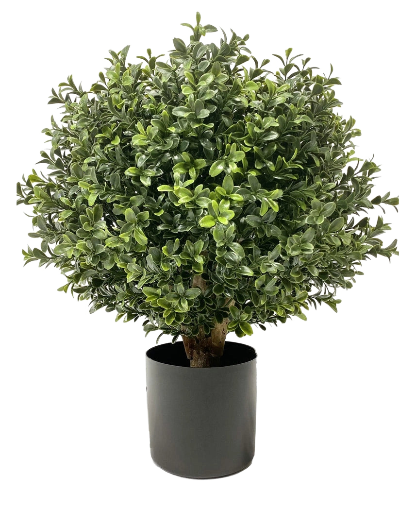 Le Buis artificiel sur tige UV d30 cm est une plante verte ronde et touffue aux feuilles denses et brillantes dans un pot cylindrique uni noir, représenté sur fond blanc.