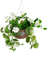 Le Bégonia Artificiel Blanc en Panier UV 70 cm présente des feuilles vertes et des fleurs de bégonia blanches dans un panier en osier avec une chaîne en métal, sur un fond blanc uni.