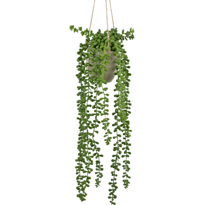 Plantes suspendues artificielles