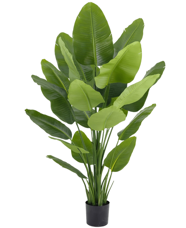 Plante artificielle Strelitzia