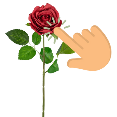 Real Touch
