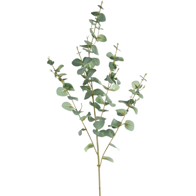 Eucalyptus artificiel