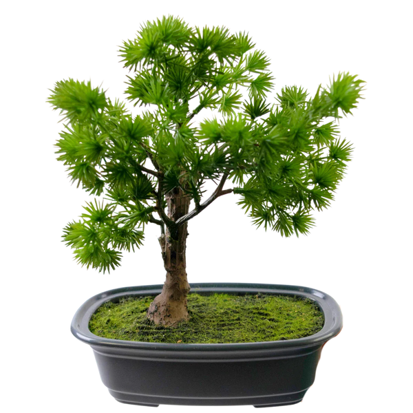 Bonsai Artificiel