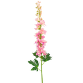 Delphinium artificiel