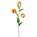 Gloriosa artificielle