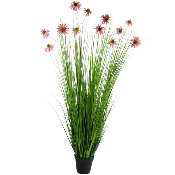 Plantes de gazon artificiel