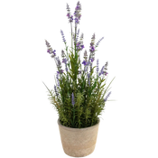 Lavande artificielle
