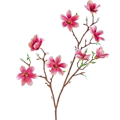 Magnolia artificiel