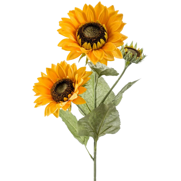 Tournesol artificiel