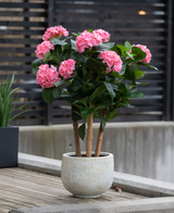 L'Hortensia Artificiel UV 85 cm rose, aux multiples tiges avec des bouquets de fleurs d'hortensia rose vif et des feuilles vertes, est placé à l'extérieur sur une surface en bois à proximité d'une clôture moderne.