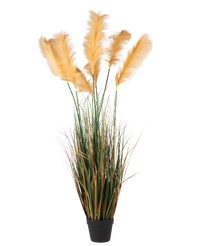Herbe artificielle de la pampa 170 cm ignifugée