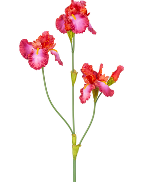 La fleur artificielle Iris 102 cm rouge a une tige avec trois fleurs roses et rouges vibrantes avec des accents jaunes et blancs. Les tiges et les bourgeons verts sont visibles sur un fond blanc uni.