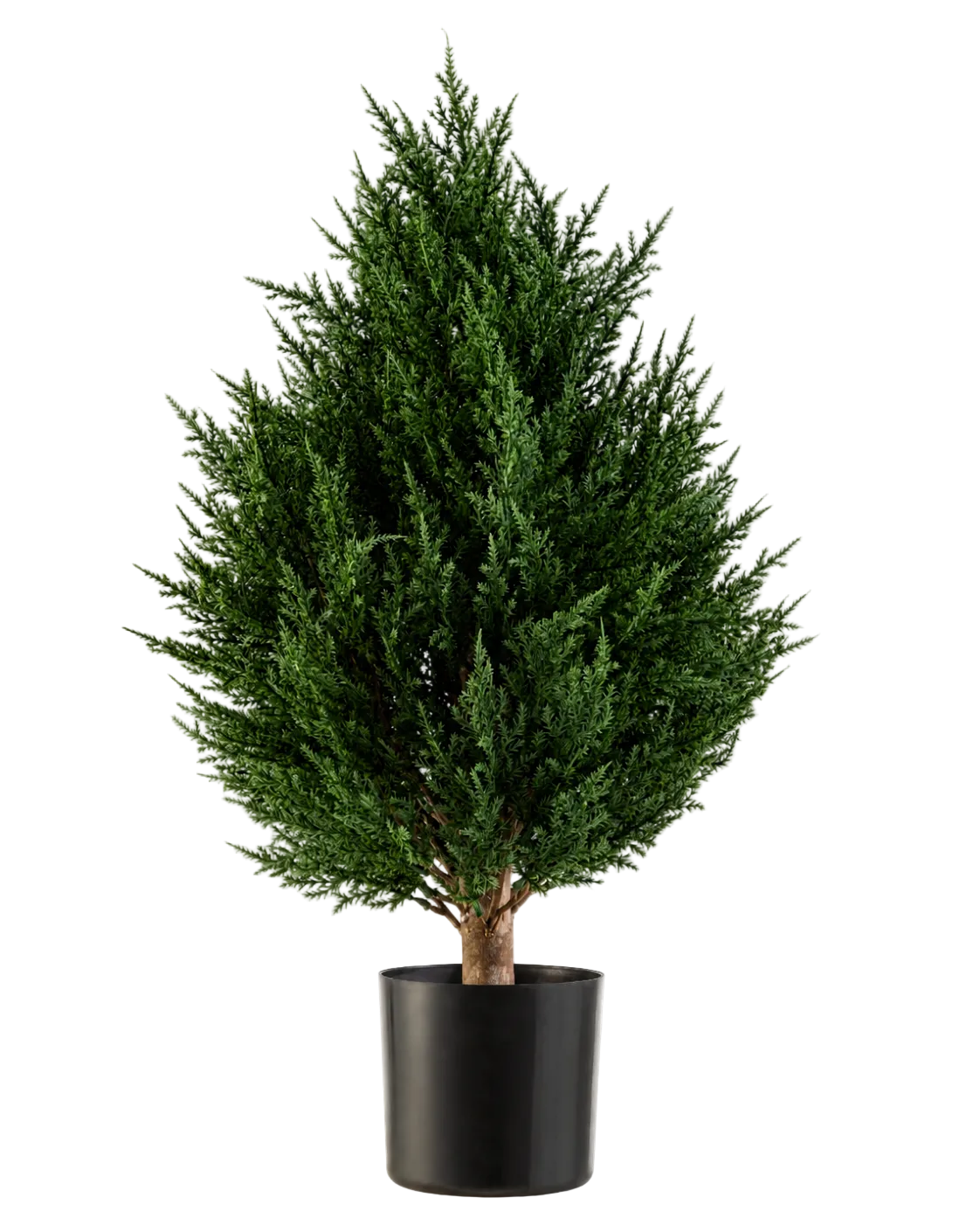La Plante Artificielle Conifer Deluxe UV 60 cm de Easyplants est une plante artificielle compacte et buissonnante au feuillage persistant et au feuillage vert riche, présentée dans un pot noir sur fond blanc. Cela en fait un excellent choix parmi les plantes artificielles d’extérieur et fournit sans effort une verdure éclatante dans n’importe quel environnement.