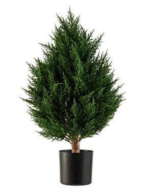 La Plante Artificielle Conifer Deluxe UV 60 cm de Easyplants est une plante artificielle compacte et buissonnante au feuillage persistant et au feuillage vert riche, présentée dans un pot noir sur fond blanc. Cela en fait un excellent choix parmi les plantes artificielles d’extérieur et fournit sans effort une verdure éclatante dans n’importe quel environnement.