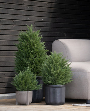 Les conifères artificiels Artificial Conifer UV 40 cm sont placés sur une terrasse en bois à côté d'un canapé d'extérieur gris clair, contre un mur moderne avec des panneaux en bois foncé.