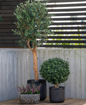 Trois plantes en pot sont placées à l'extérieur : un olivier artificiel UV 155 cm au tronc élancé, un arbuste rond et un petit pot de bruyère violette, le tout adossé à un mur en béton et une clôture en lattes de bois.