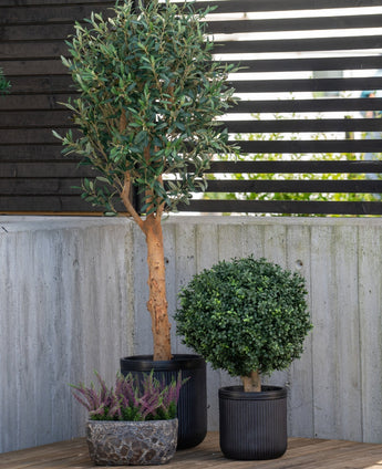 Trois plantes en pot sont placées à l'extérieur : un olivier artificiel UV 155 cm au tronc élancé, un arbuste rond et un petit pot de bruyère violette, le tout adossé à un mur en béton et une clôture en lattes de bois.