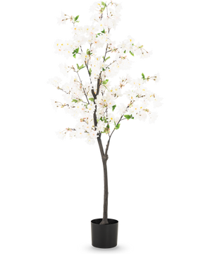 La fleur de cerisier artificielle 150 cm blanc est un grand cerisier artificiel avec de délicates fleurs blanches et de petites feuilles vertes dans un simple pot noir, représenté sur un fond clair uni.