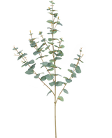 L'Eucalyptus Artificiel 96 cm possède des tiges élancées et des feuilles rondes bleu-vert, élégamment présentées sur un fond blanc uni.