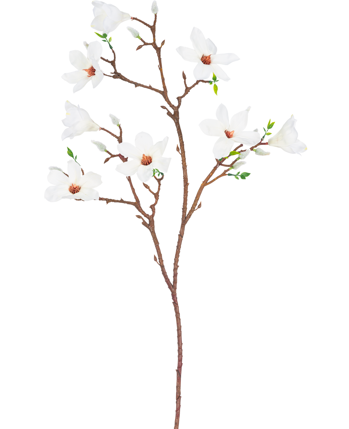 La Branche Artificielle Magnolia à petites fleurs blanche de 89 cm possède une seule branche brune à plusieurs ramifications, avec de multiples fleurs blanches ouvertes au cœur rose clair et de petites feuilles vertes, sur un fond uni blanc.