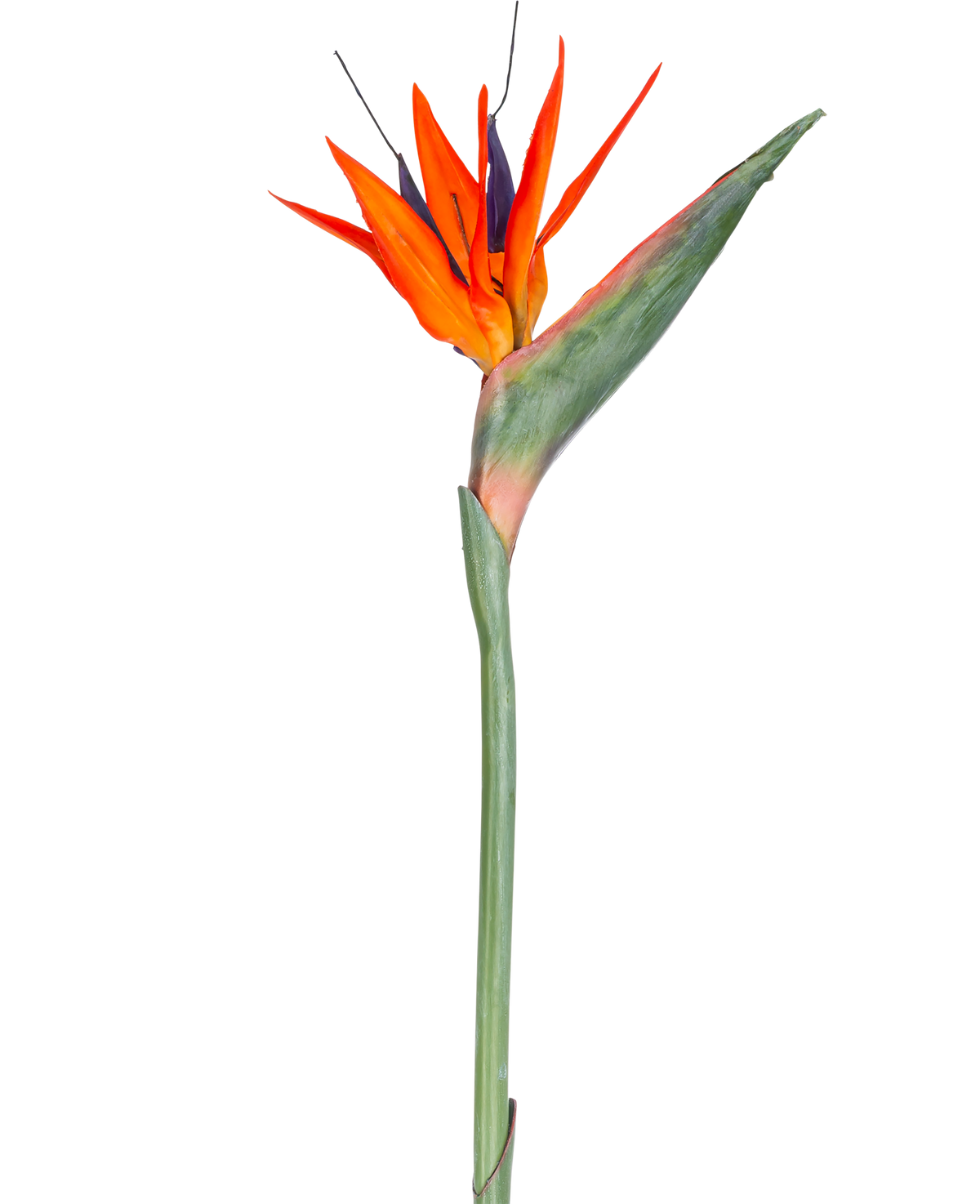 La fleur artificielle Strelitzia 86 cm rouge/violet a des pétales rouges et violets vibrants sur une longue tige verte, présentée comme une fleur artificielle unique, sans entretien, isolée sur un fond blanc.