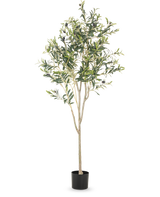 L'olivier artificiel de 180 cm présente plusieurs branches fines et des feuilles vertes dans un simple pot noir, sur un fond blanc uni - un accent décoratif élégant pour n'importe quelle pièce.