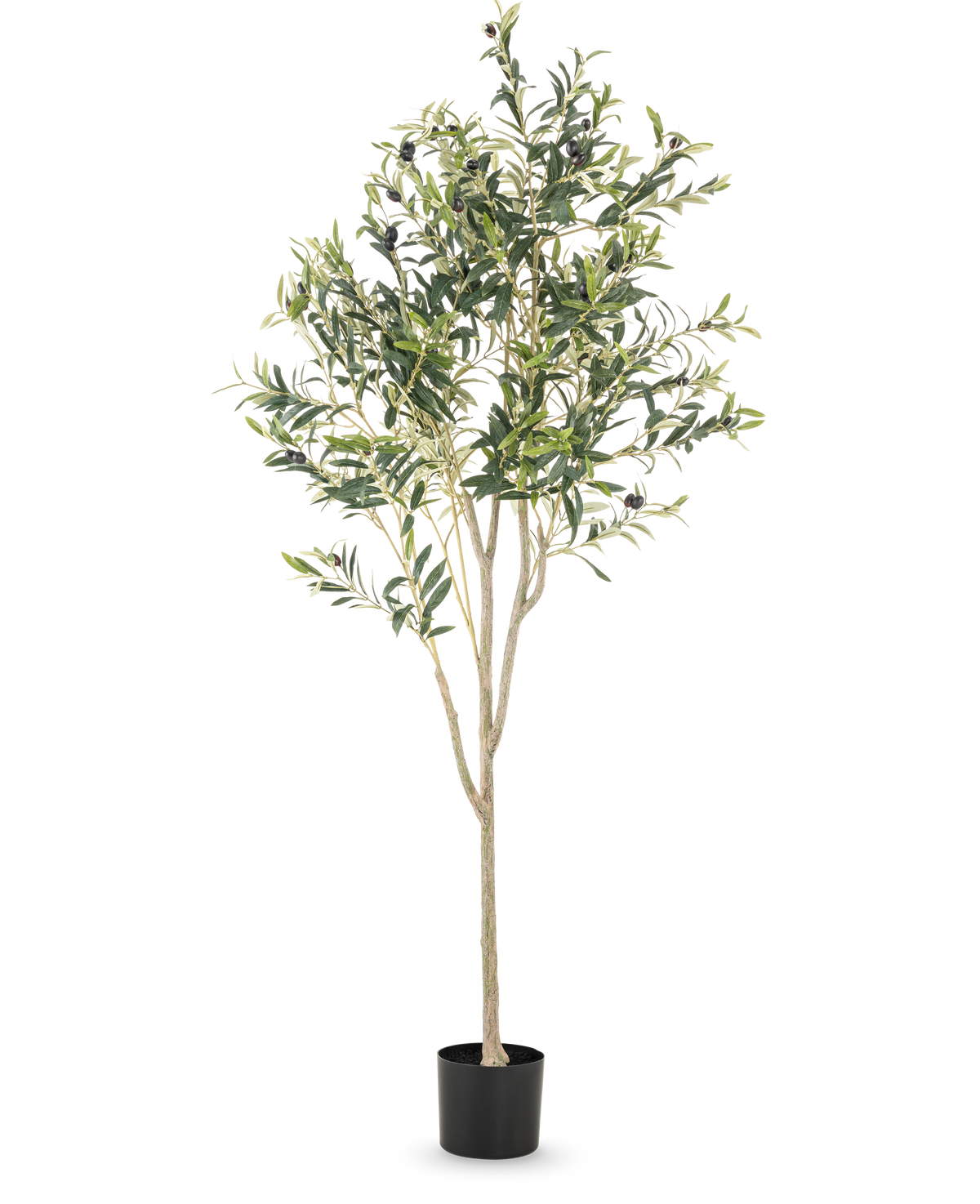 L'olivier artificiel de 180 cm présente plusieurs branches fines et des feuilles vertes dans un simple pot noir, sur un fond blanc uni - un accent décoratif élégant pour n'importe quelle pièce.
