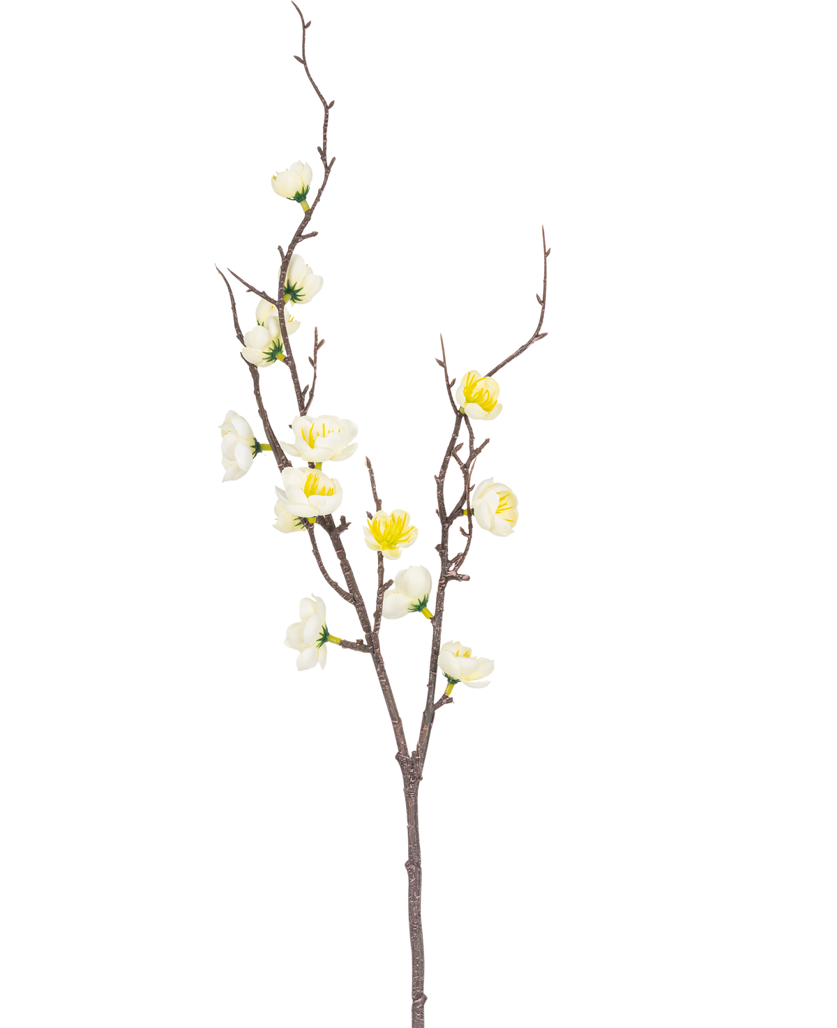 La Branche Artificielle Prunus 78 cm blanc possède une seule branche marron aux multiples ramifications, ornée de petites fleurs blanches et jaunes, sur un fond uni blanc.