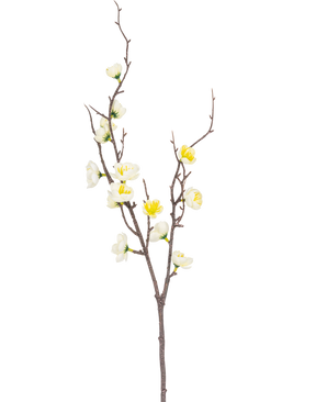 La Branche Artificielle Prunus 78 cm blanc possède une seule branche marron aux multiples ramifications, ornée de petites fleurs blanches et jaunes, sur un fond uni blanc.
