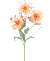 Une fleur artificielle Scabiosa Japonica à tige de pêche de 70 cm avec trois fleurs artificielles orange, des pétales épineux et des feuilles vertes, photographiées sur un fond blanc.
