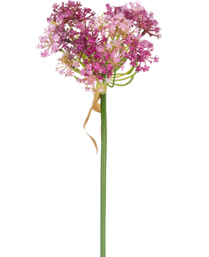 La fleur artificielle Allium 60 cm violet a une haute tige verte avec une grappe en forme de cœur de petites fleurs roses et violettes, accentuée par une fine feuille brun clair séchée qui repose librement autour de la tige, sur un fond blanc.