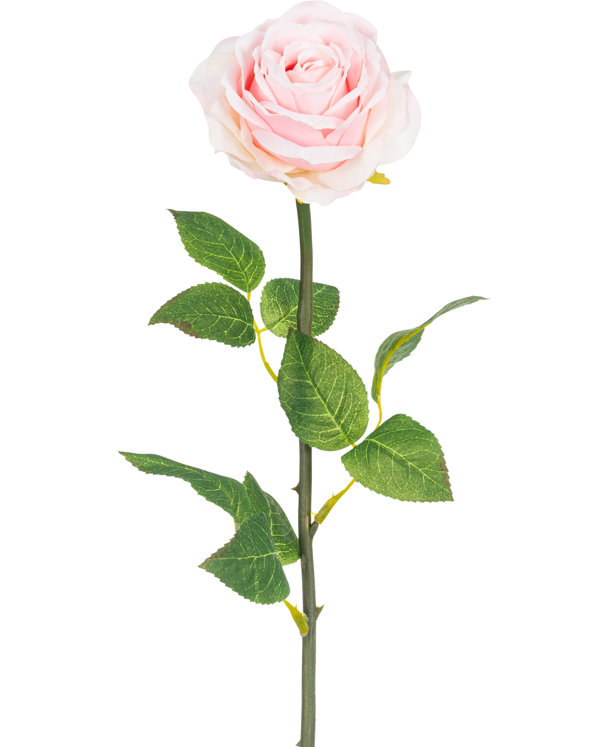 Une rose artificielle classique de 55 cm de haut, de couleur rose clair avec des feuilles vertes - Fleur artificielle Rose Classic 55 cm rose clair.
