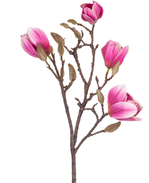 La Fleur Artificielle Magnolia 50 cm rose est une branche de magnolia artificielle marron avec diverses fleurs roses et blanches et des bourgeons duveteux, représentés sur un fond blanc.