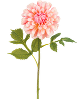 La Fleur Artificielle Dahlia 50 cm rose est un dahlia artificiel rose simple avec des pétales superposés et une tige verte avec trois séries de feuilles dentelées, sur un fond blanc.