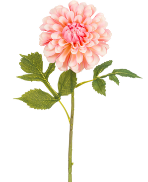 La Fleur Artificielle Dahlia 50 cm rose est un dahlia artificiel rose simple avec des pétales superposés et une tige verte avec trois séries de feuilles dentelées, sur un fond blanc.