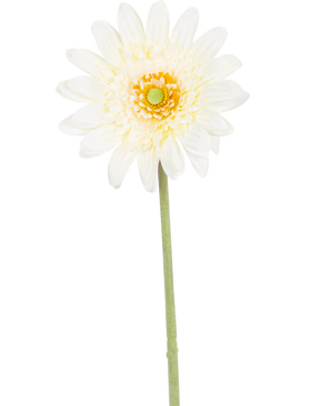 La fleur artificielle Gerbera 53 cm blanc a une seule fleur blanche ressemblant à une marguerite avec des pétales superposés, un cœur jaune-vert et une longue tige verte sur un fond blanc.