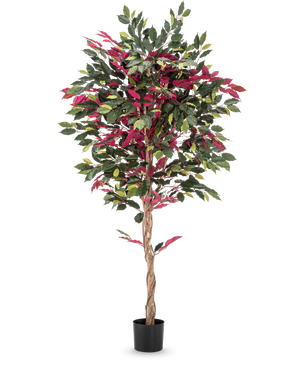 Une plante artificielle ignifuge Ficus vert/rouge mesurant 180 cm, avec un tronc torsadé et des feuilles vert-rouge dans un pot noir, se dresse sur un fond blanc lisse.