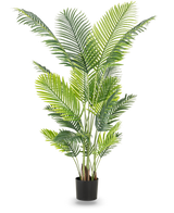 La plante artificielle Phoenix 180 cm est une grande plante artificielle avec des feuilles vertes luxuriantes dans un pot noir qui ajoute une atmosphère tropicale à n'importe quelle pièce. Sur la photo sur un fond blanc uni.