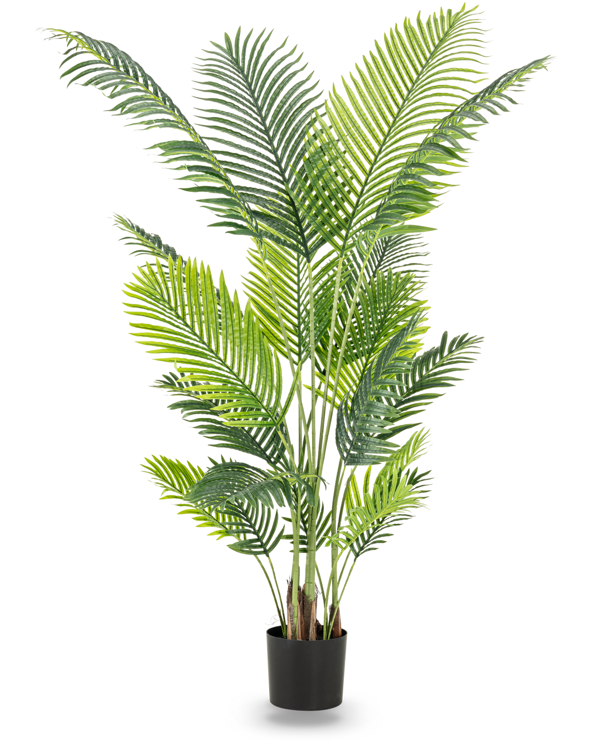 La plante artificielle Phoenix 180 cm est une grande plante artificielle avec des feuilles vertes luxuriantes dans un pot noir qui ajoute une atmosphère tropicale à n'importe quelle pièce. Sur la photo sur un fond blanc uni.