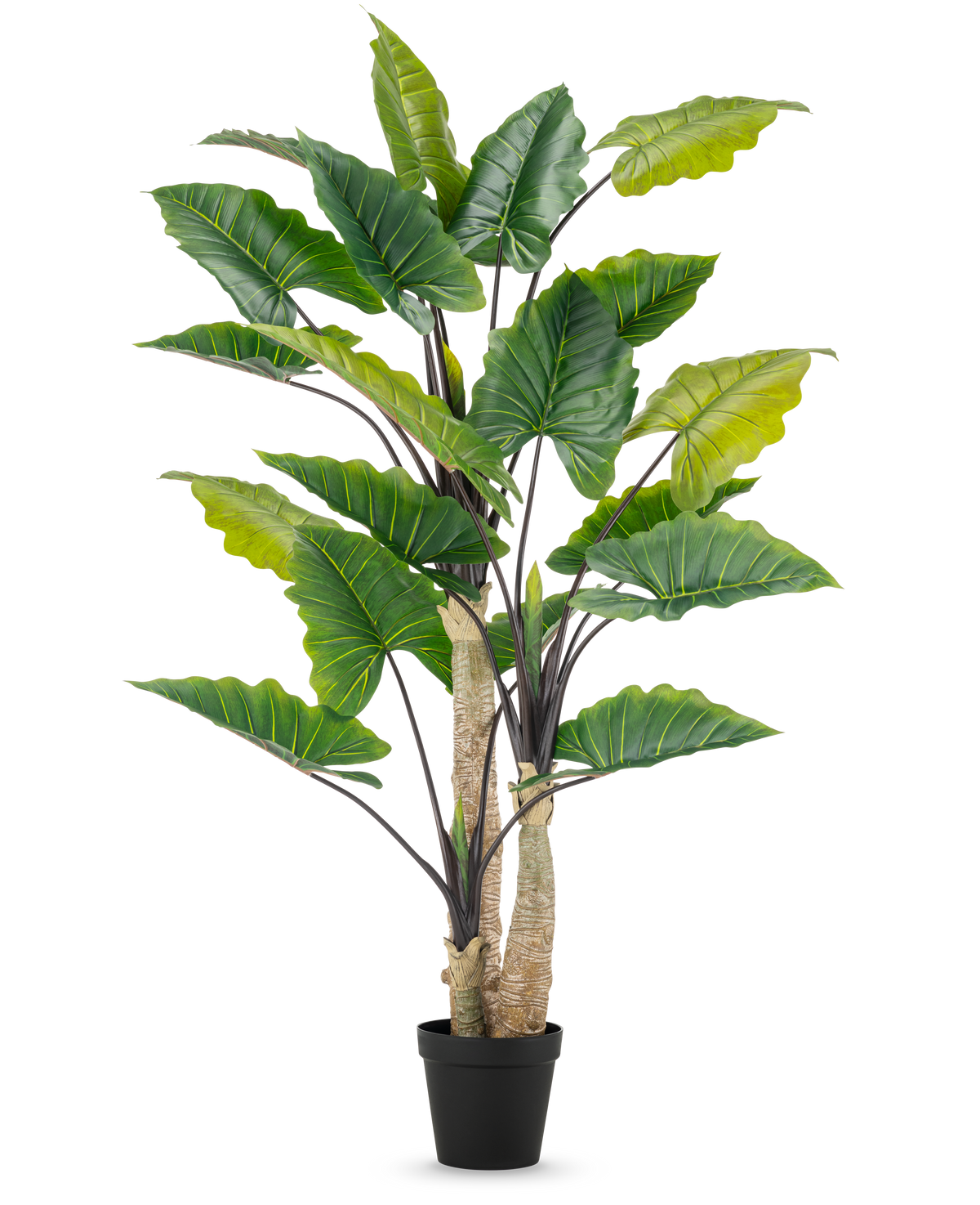 La Plante Artificielle Alocasia 240 cm est une grande plante artificielle avec de grandes feuilles vertes et plusieurs tiges dans un pot noir, sur un fond uni blanc.
