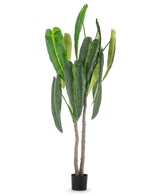 La plante artificielle Anthurium 210 cm a de hautes feuilles vertes luxuriantes et deux tiges brunes dans un petit pot noir, sur un fond blanc simple.