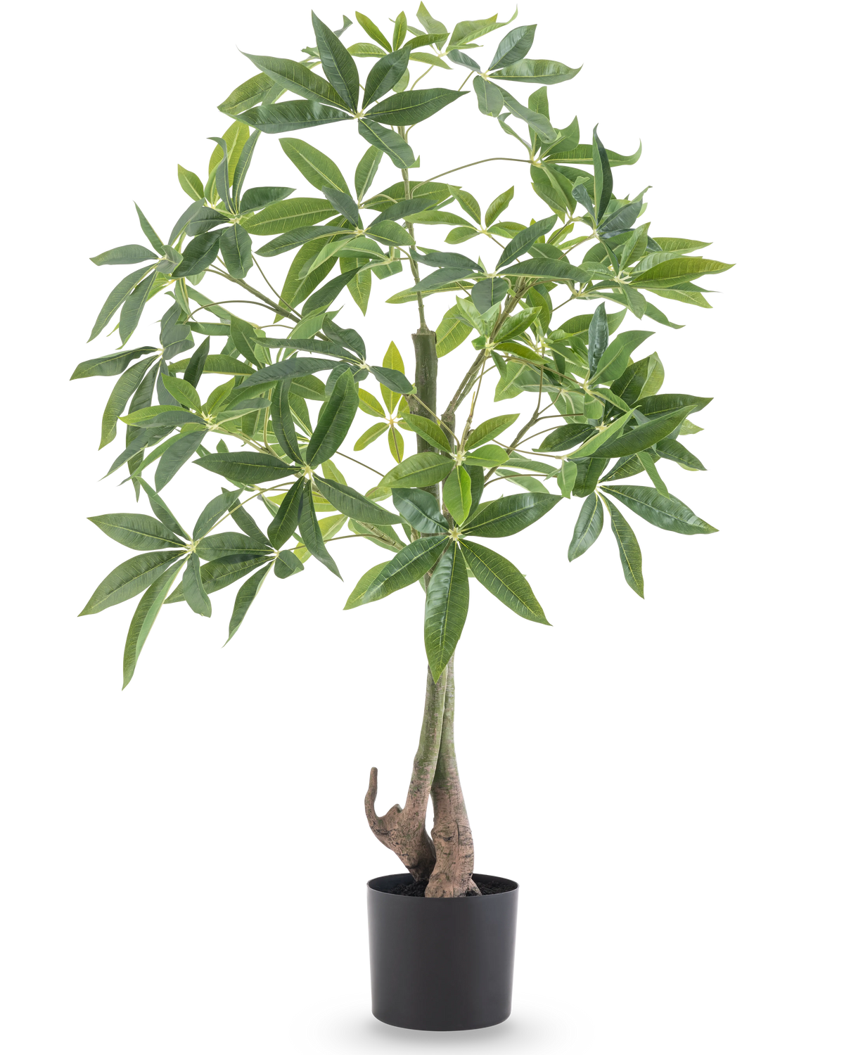 La Plante Artificielle Pachira 120 cm a un tronc tressé et des feuilles vertes luxuriantes dans un pot noir, sur un fond blanc uni.