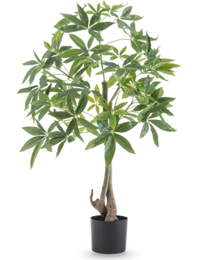 La Plante Artificielle Pachira 120 cm a un tronc tressé et des feuilles vertes luxuriantes dans un pot noir, sur un fond blanc uni.
