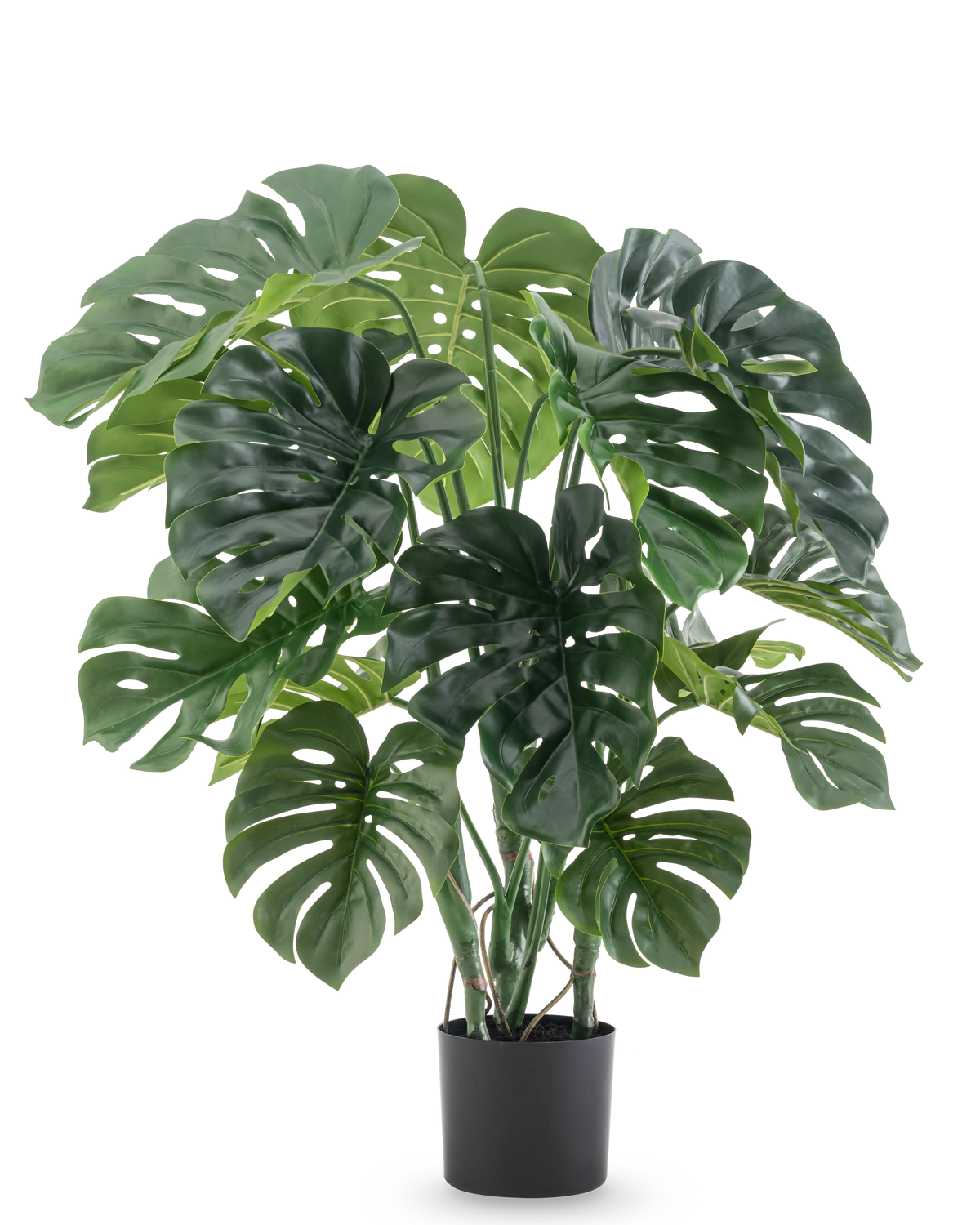 La plante artificielle Monstera 90 cm a de grandes feuilles vertes fendues et est présentée dans un pot noir sur un fond blanc uni.