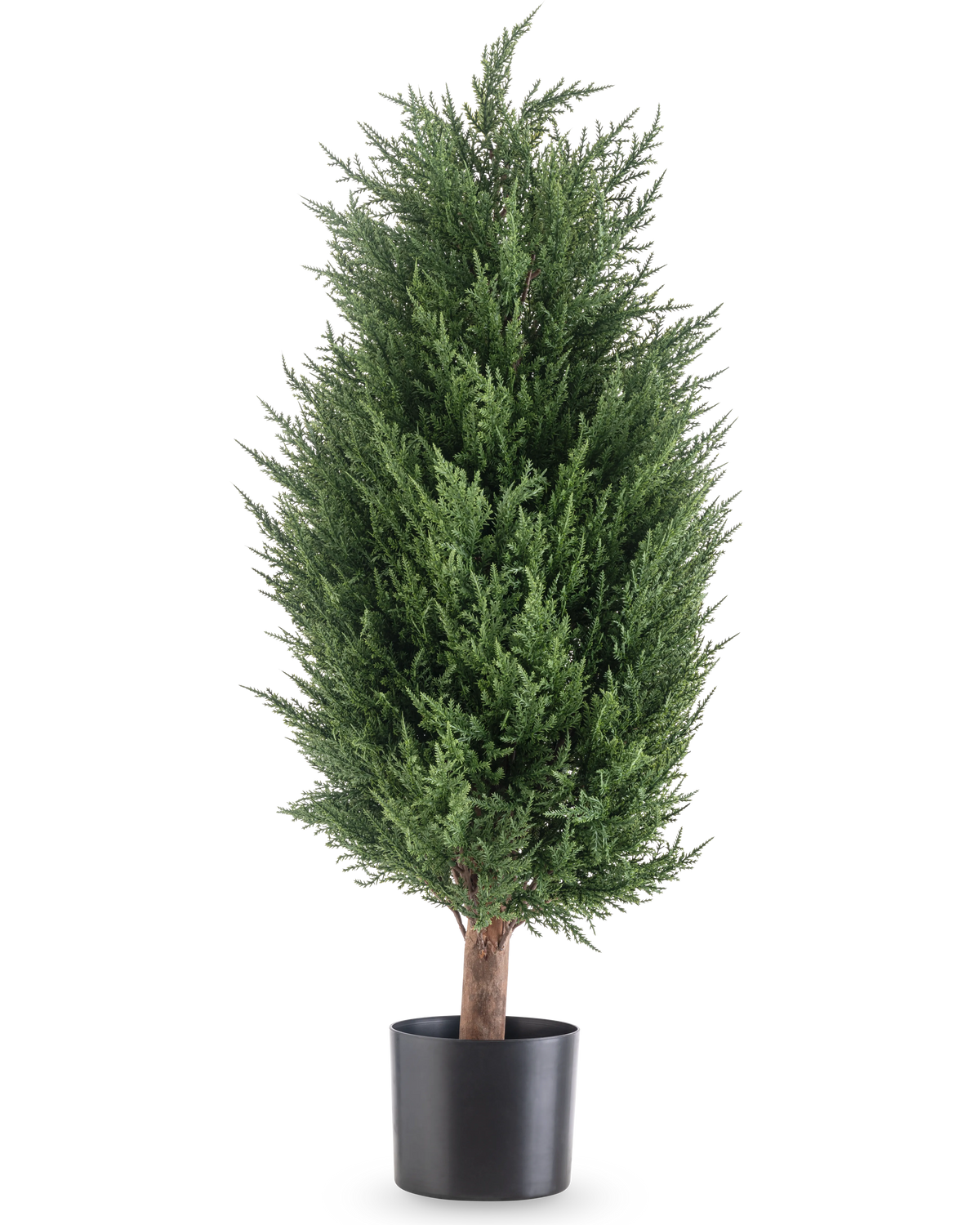 La plante artificielle Conifer deluxe UV 90 cm est une plante artificielle à feuilles persistantes luxuriante et verte avec un feuillage dense dans un pot noir - une plante sans entretien qui reste vibrante dans n'importe quel environnement.