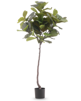 La Plante Artificielle Ficus Tobacco Plant Deluxe 180 cm est une plante artificielle haute avec de grandes feuilles vertes brillantes et un tronc brun élancé, sur un fond blanc uni.