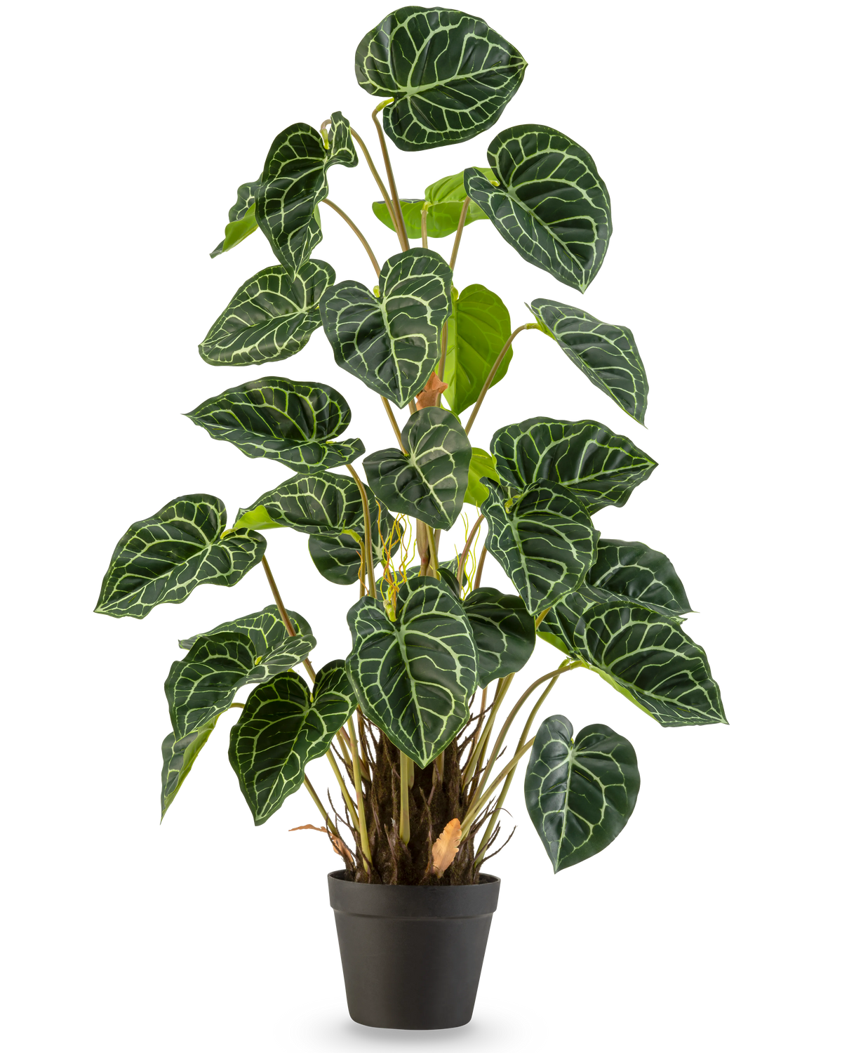 Une plante artificielle Anthurium de 90 cm verte avec des feuilles vertes luxuriantes en forme de cœur et des veines blanches frappantes, sur un fond blanc uni.